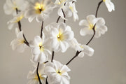 1 Set of 50cm H 20 LED White Frangipani Tree Branch Stem Fairy Light Wedding Event Party Function Table Vase V382-WHFRANGISTEMBATT
