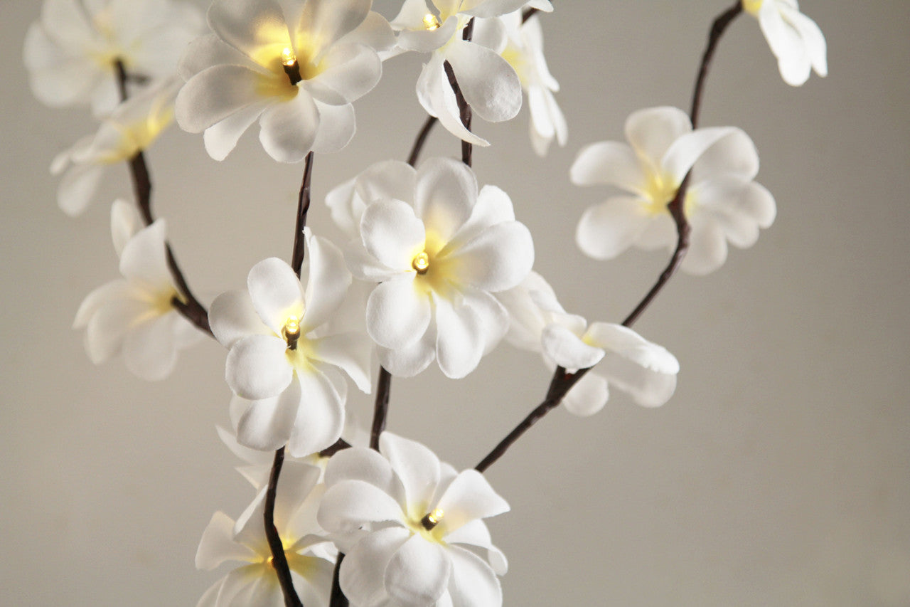 1 Set of 50cm H 20 LED White Frangipani Tree Branch Stem Fairy Light Wedding Event Party Function Table Vase V382-WHFRANGISTEMBATT