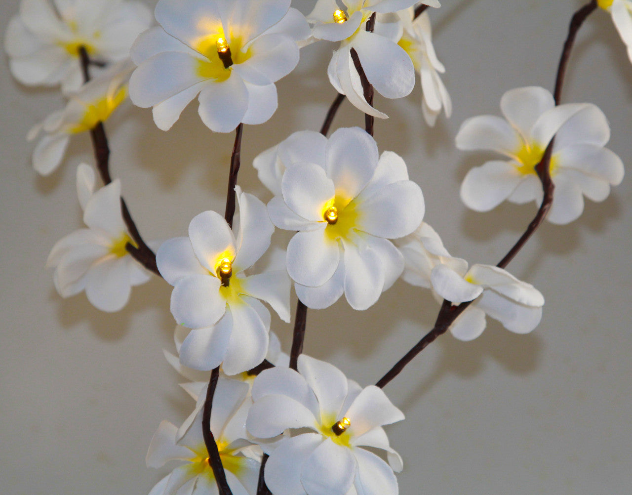 1 Set of 50cm H 20 LED White Frangipani Tree Branch Stem Fairy Light Wedding Event Party Function Table Vase V382-WHFRANGISTEMBATT
