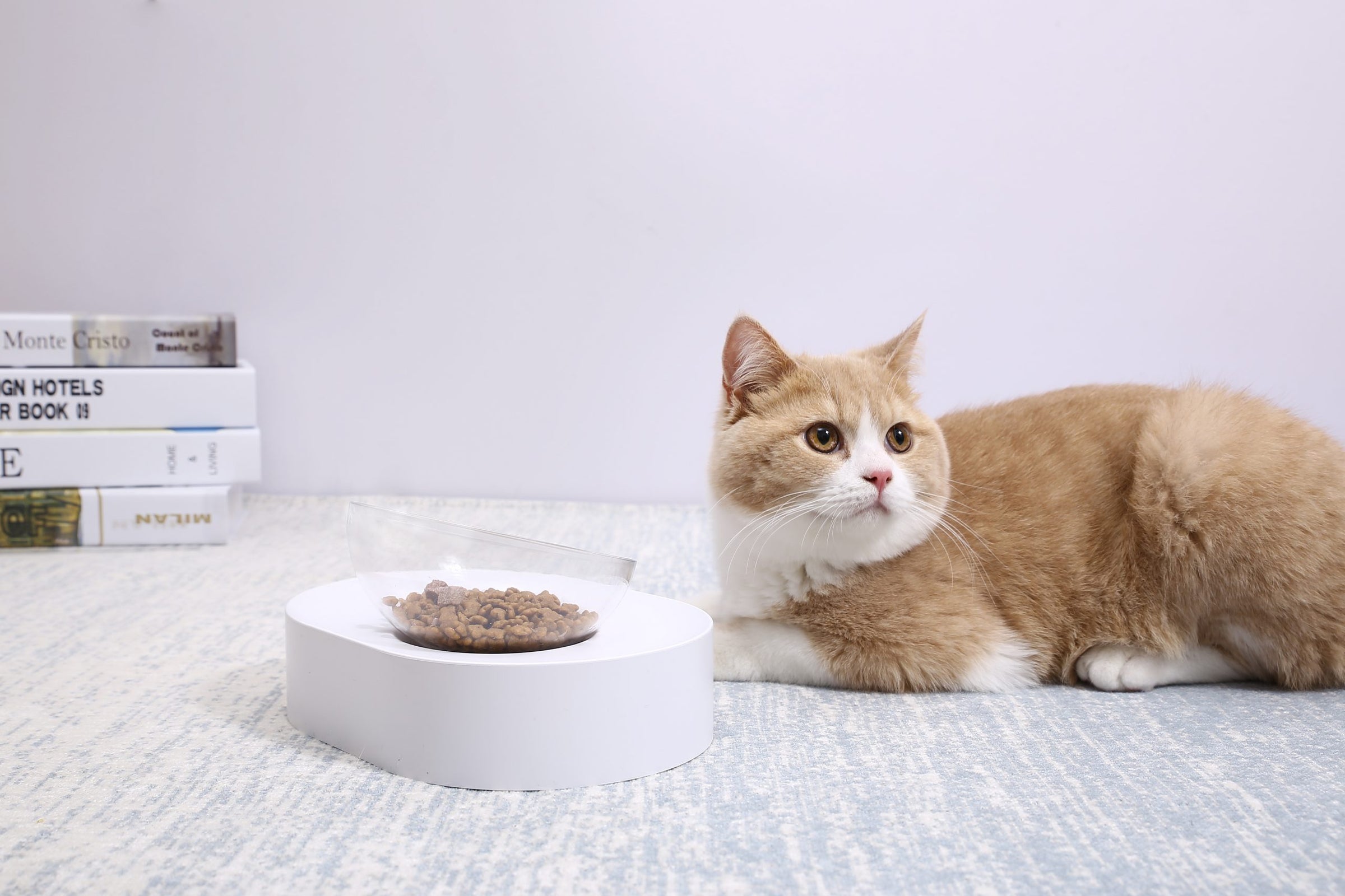 PETKIT Fresh Nano-15 Adjustable Cat Feeding Bowl -Single V390-EAN13F3S