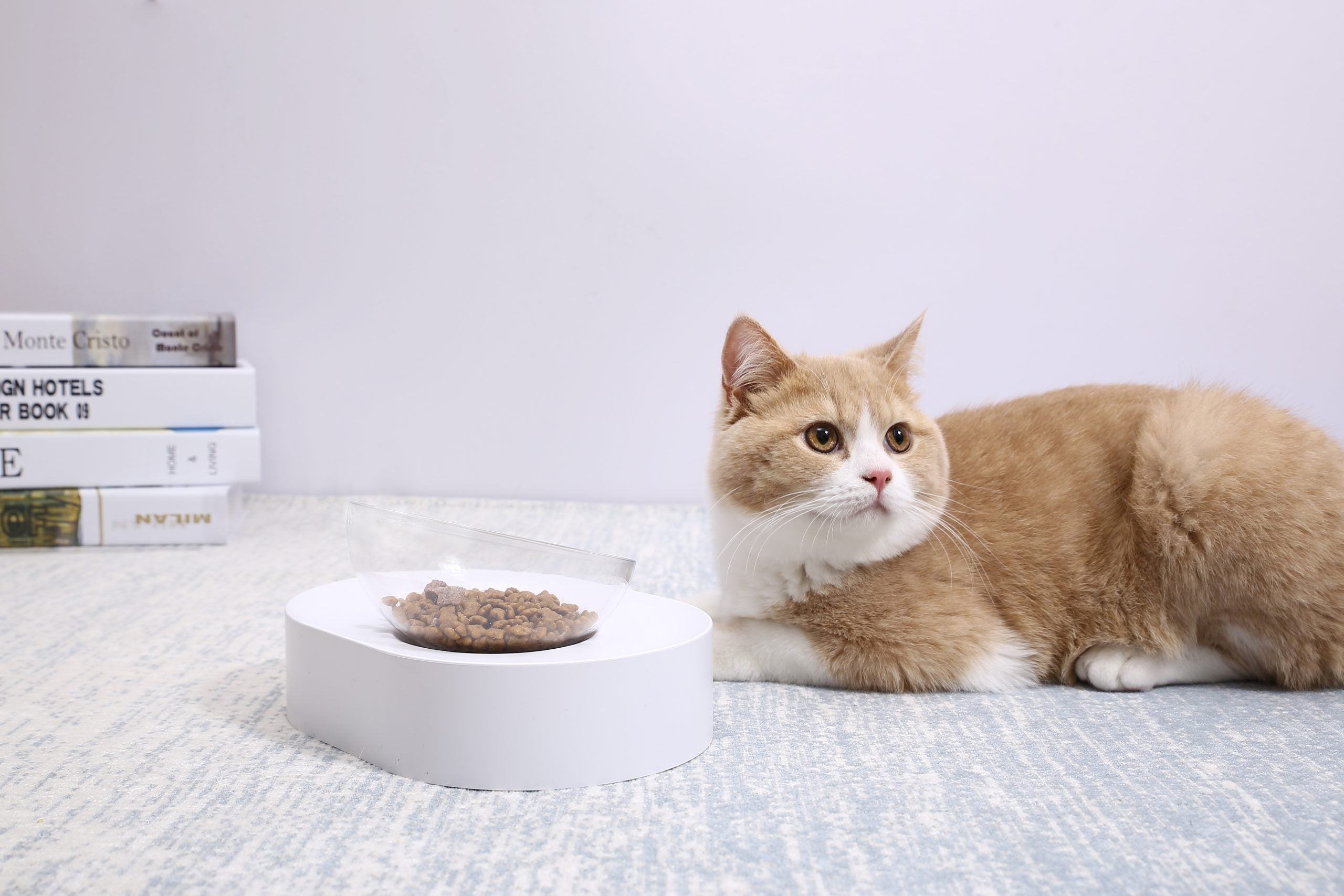 PETKIT Fresh Nano-15 Adjustable Cat Feeding Bowl -Single V390-EAN13F3S