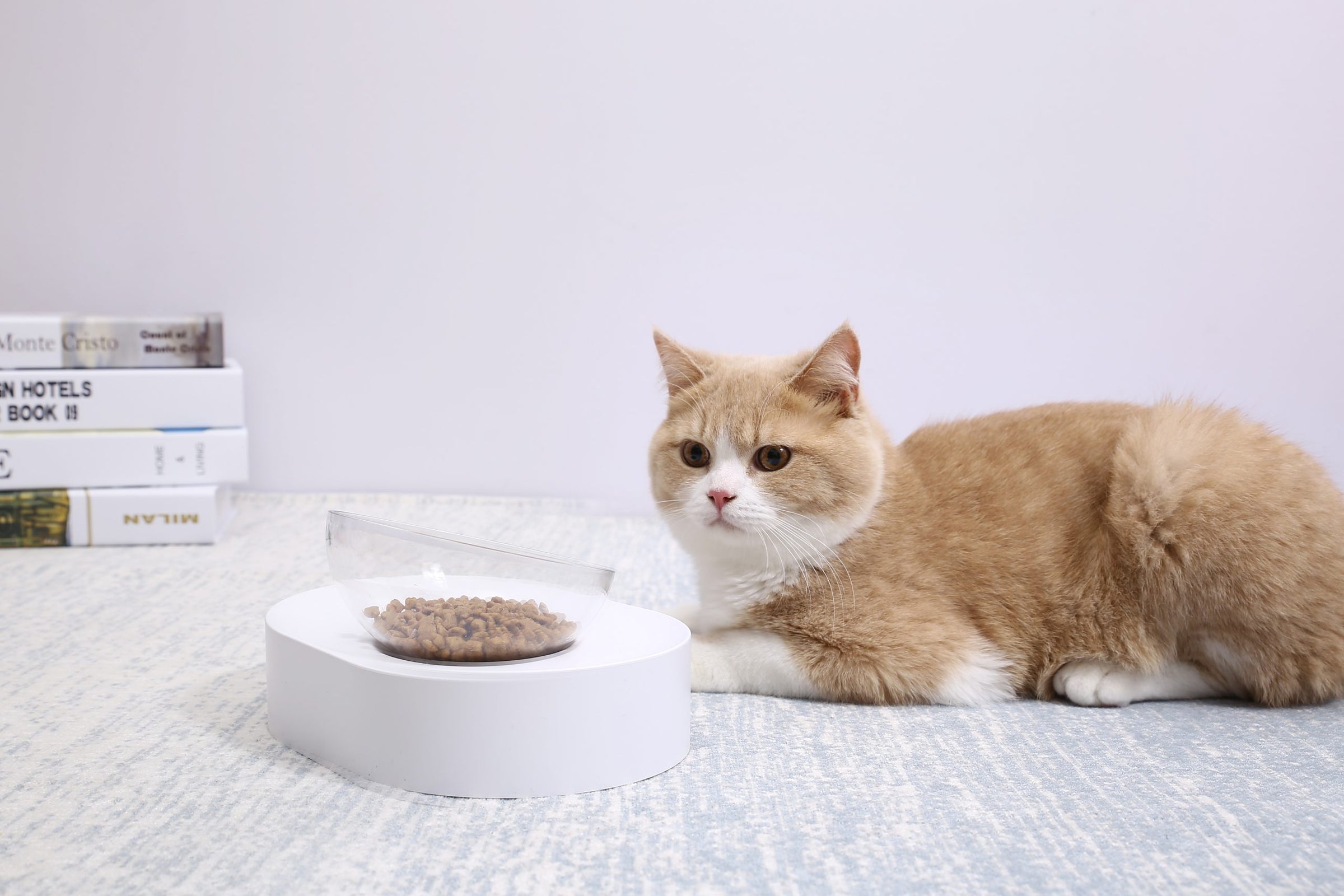 PETKIT Fresh Nano-15 Adjustable Cat Feeding Bowl -Single V390-EAN13F3S