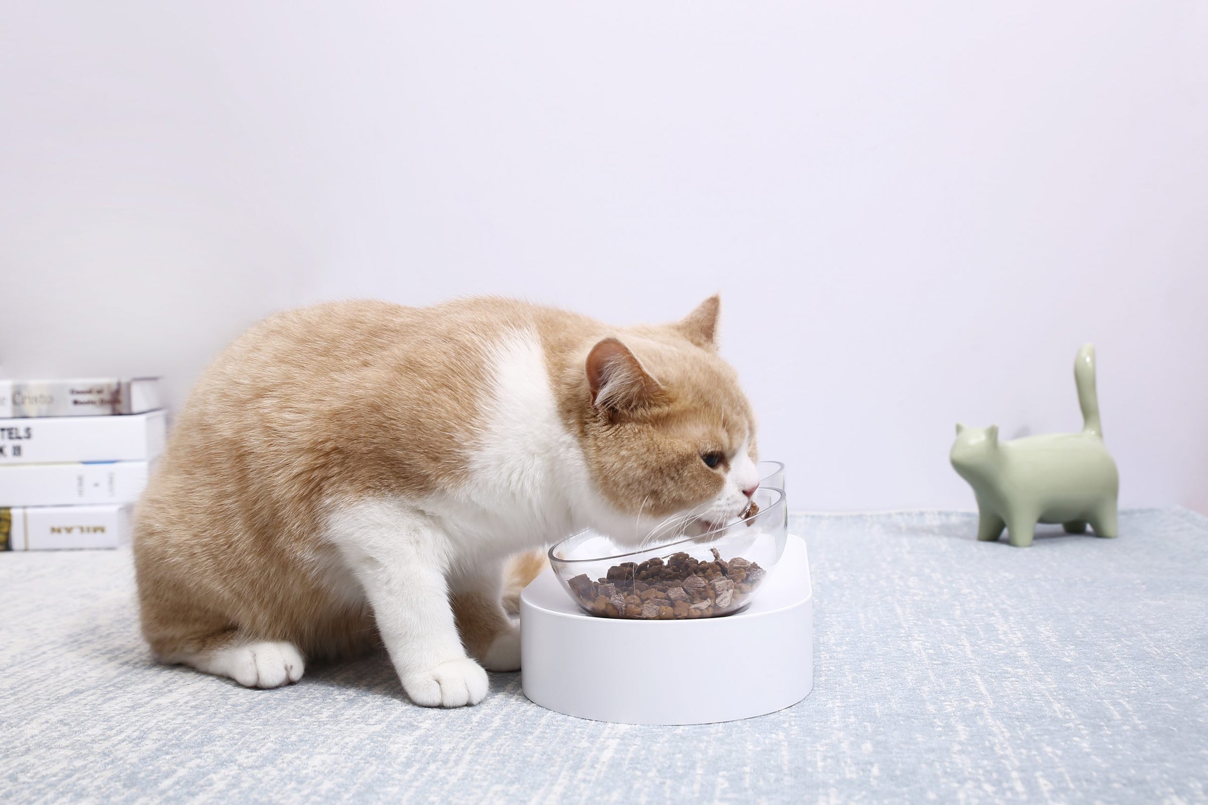 PETKIT Fresh Nano-15 Adjustable Cat Feeding Bowl -Single V390-EAN13F3S