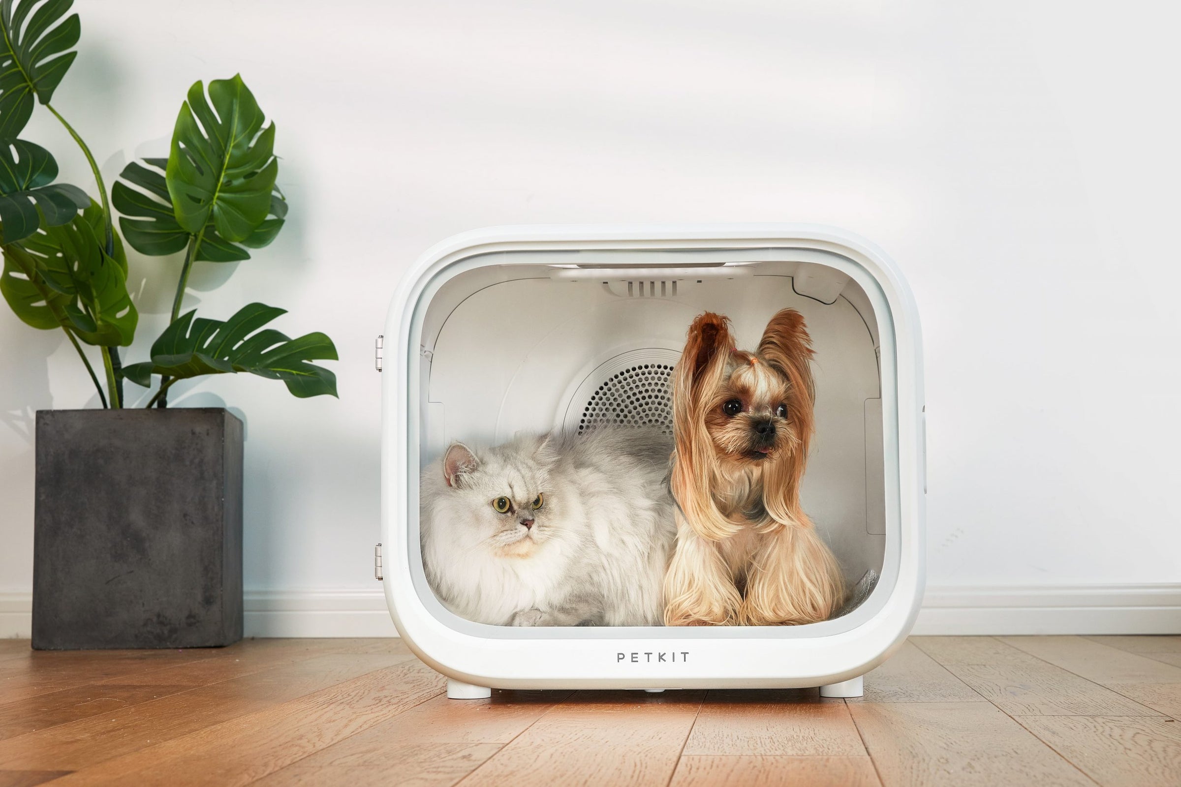 PETKIT AIRSALON Smart Pet Dryer Box V390-EAN13HG