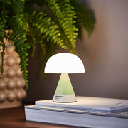 Lexon Mina M Medium Portable Led Lamp PANTONE - Green V398-LD-LH64PT-M