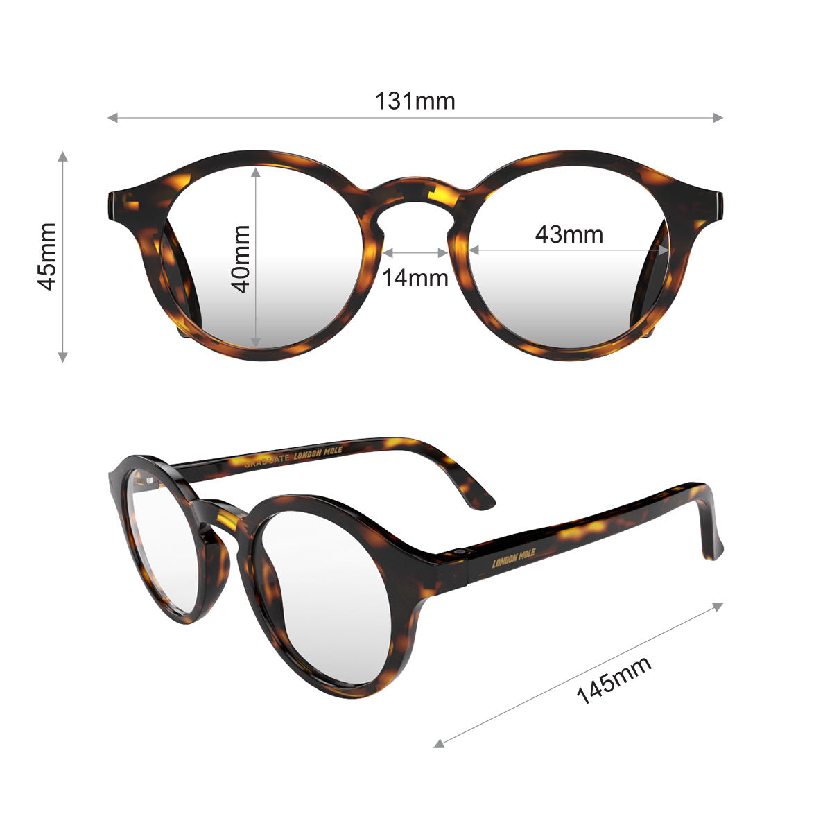 London Mole Graduate Blue Blocker Glasses Gloss Tortoise Shell V398-LM-GRA-TS-0
