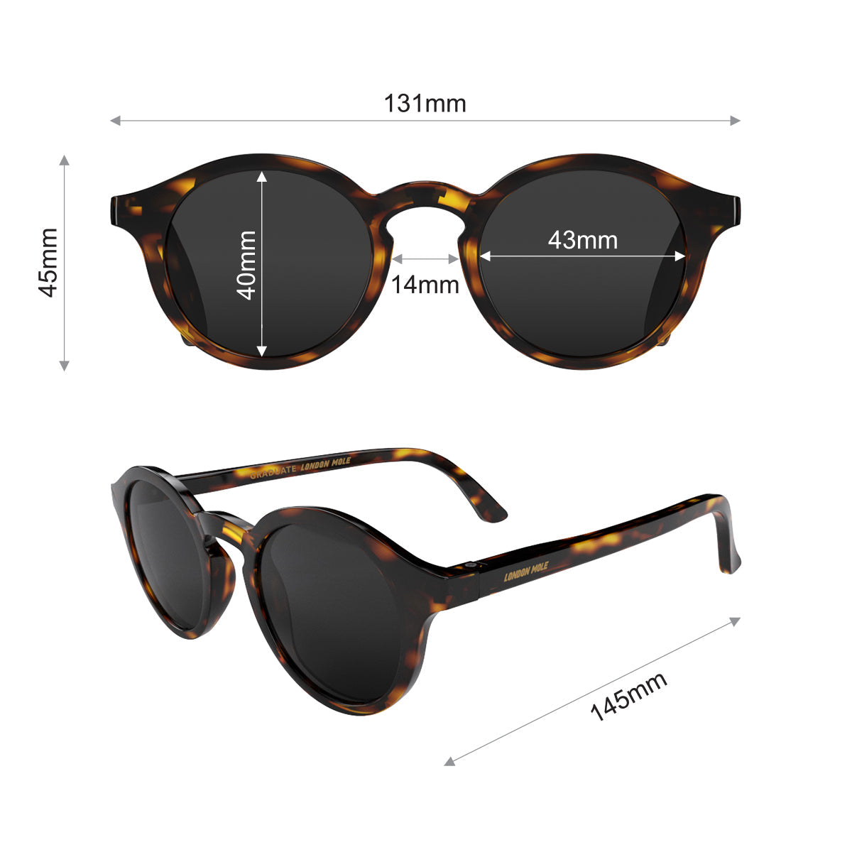 London Mole Graduate Sunglasses Gloss Brown Tortoiseshell V398-LM-SGRA-TS-K