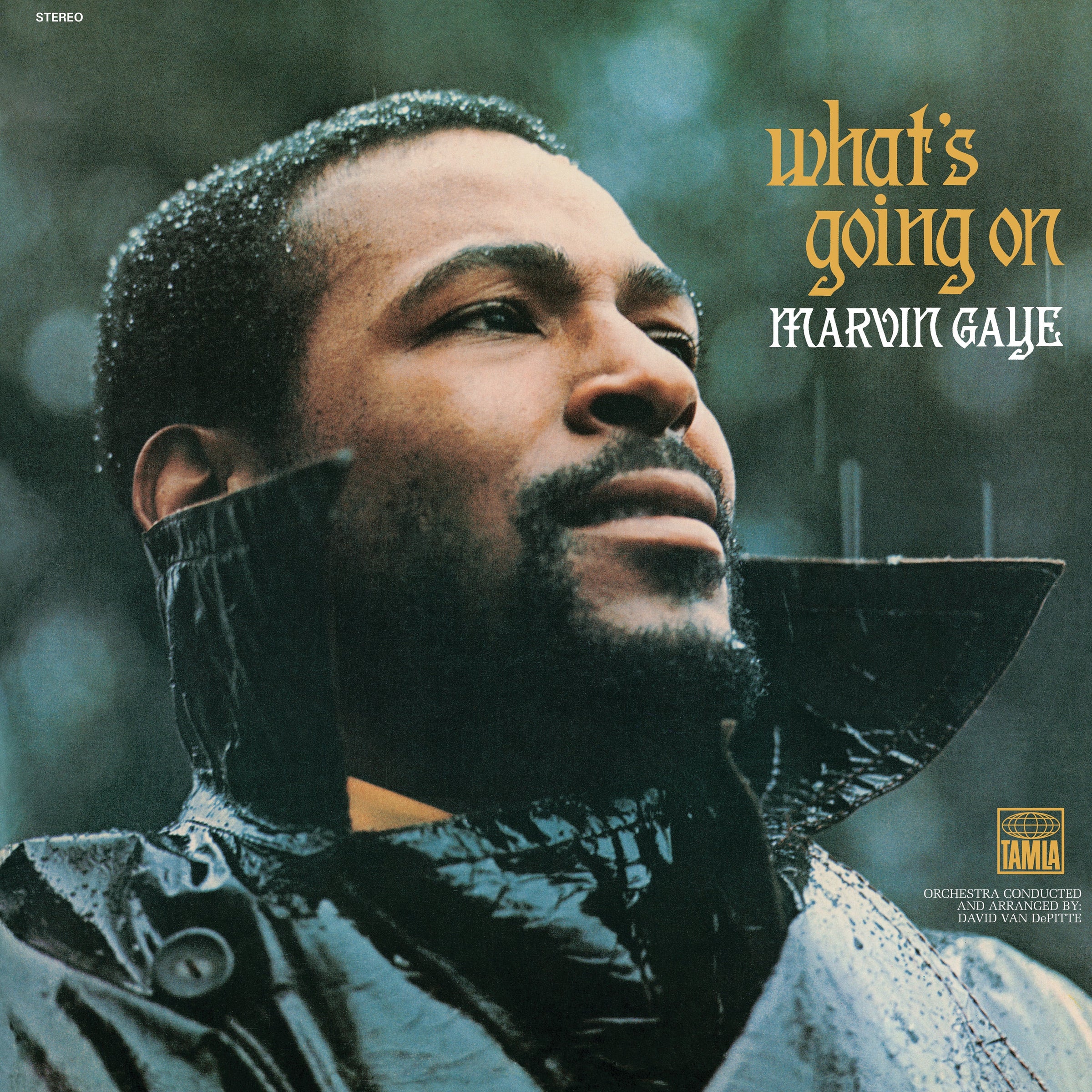Marvin Gaye What's Going On - Vinyl Album V398-UM-5353423