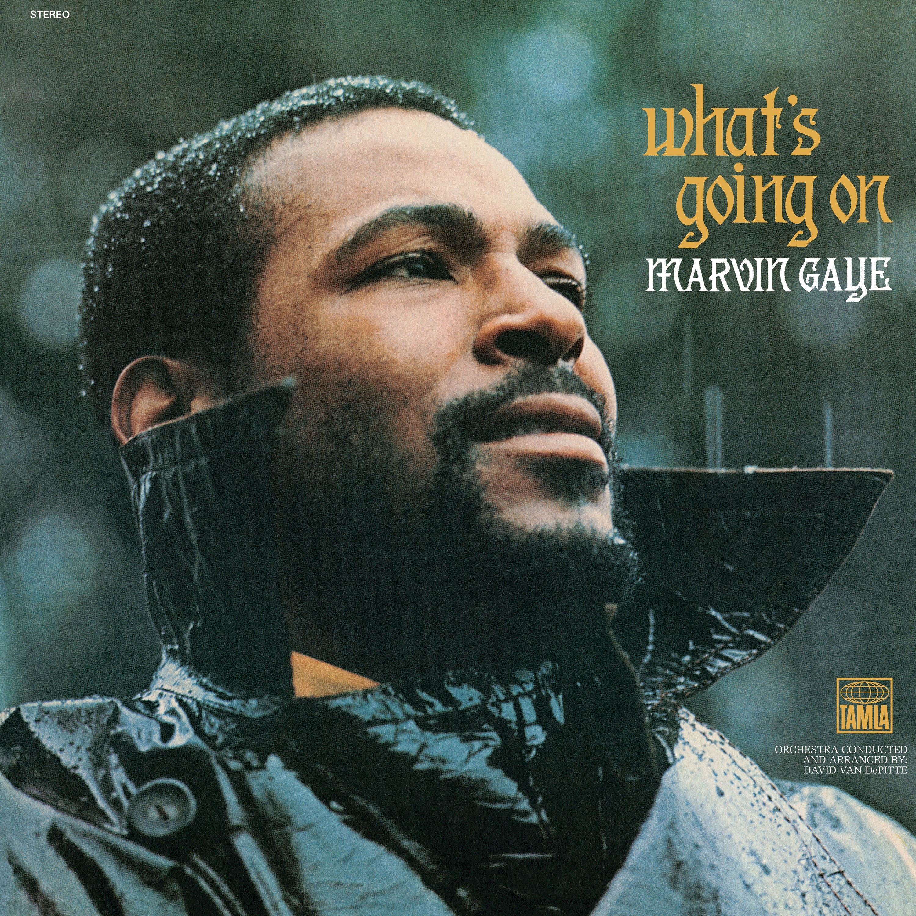 Marvin Gaye What's Going On - Vinyl Album V398-UM-5353423