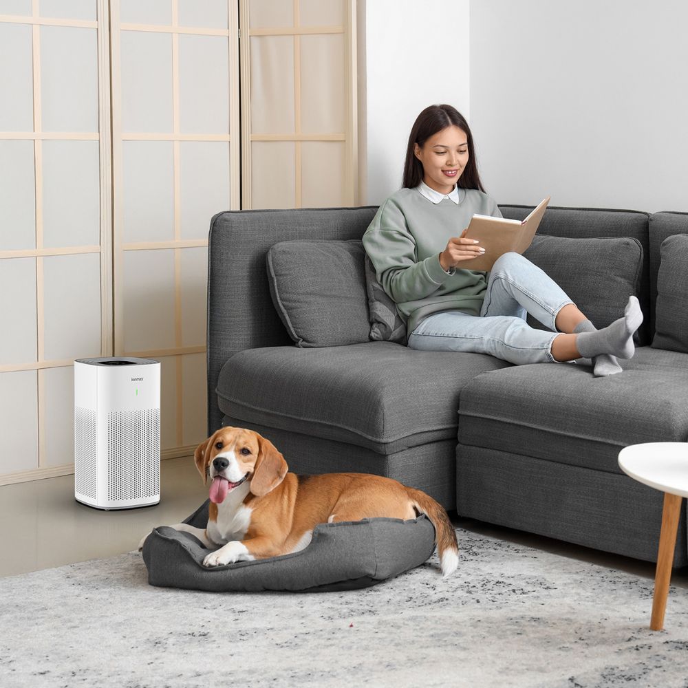 Ionmax Lavish ION350 Smart Antibacterial HEPA Air Purifier V404-ION350