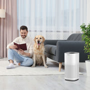 Ionmax Lavish Plus ION530 Smart Antibacterial HEPA Air Purifier V404-ION530
