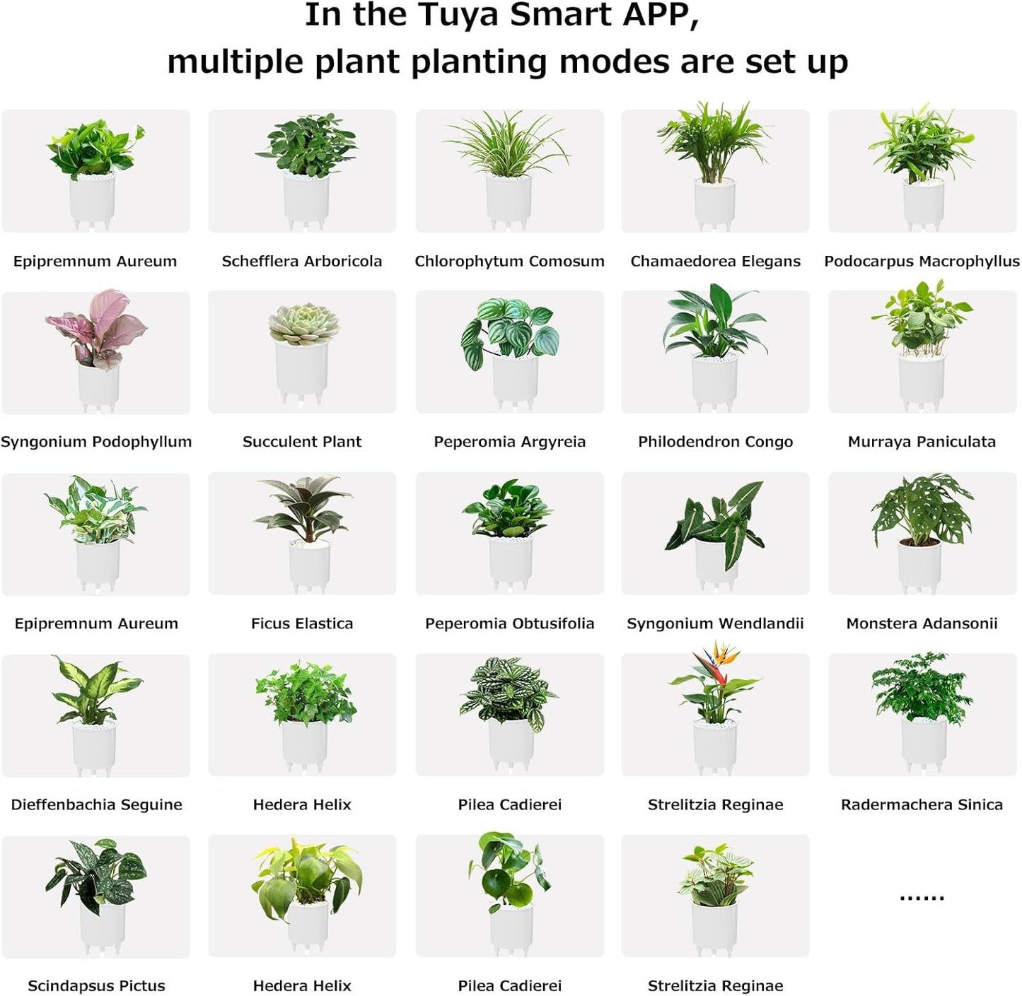 Intelligent Flower Pot, Electronic Bud, Maintenance Plant Assistant, Fun Interactive Flower Pot, Indoor Green V413-SMART-POT-WHITE