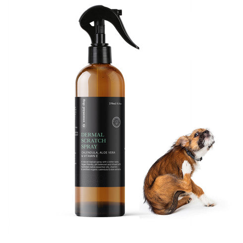 Natural Anti Itch Scratch Spray for Dogs (Aloe, Tea Tree and Vitamin E) V422-AIS250