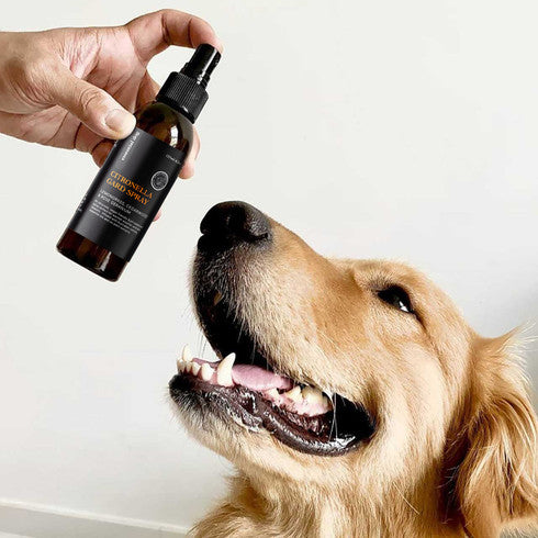 Citronella Gard Spray Insect Deterrant for Dogs V422-CS125