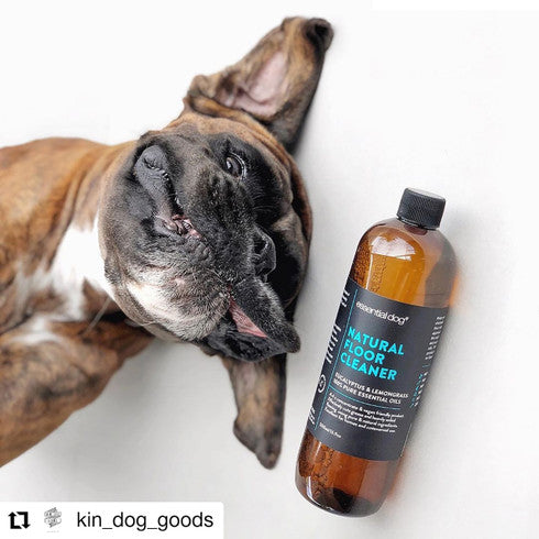 Essential Dog 500ml Natural Floor Cleaner (Eucalyptus and Lemongrass) V422-FC500EL