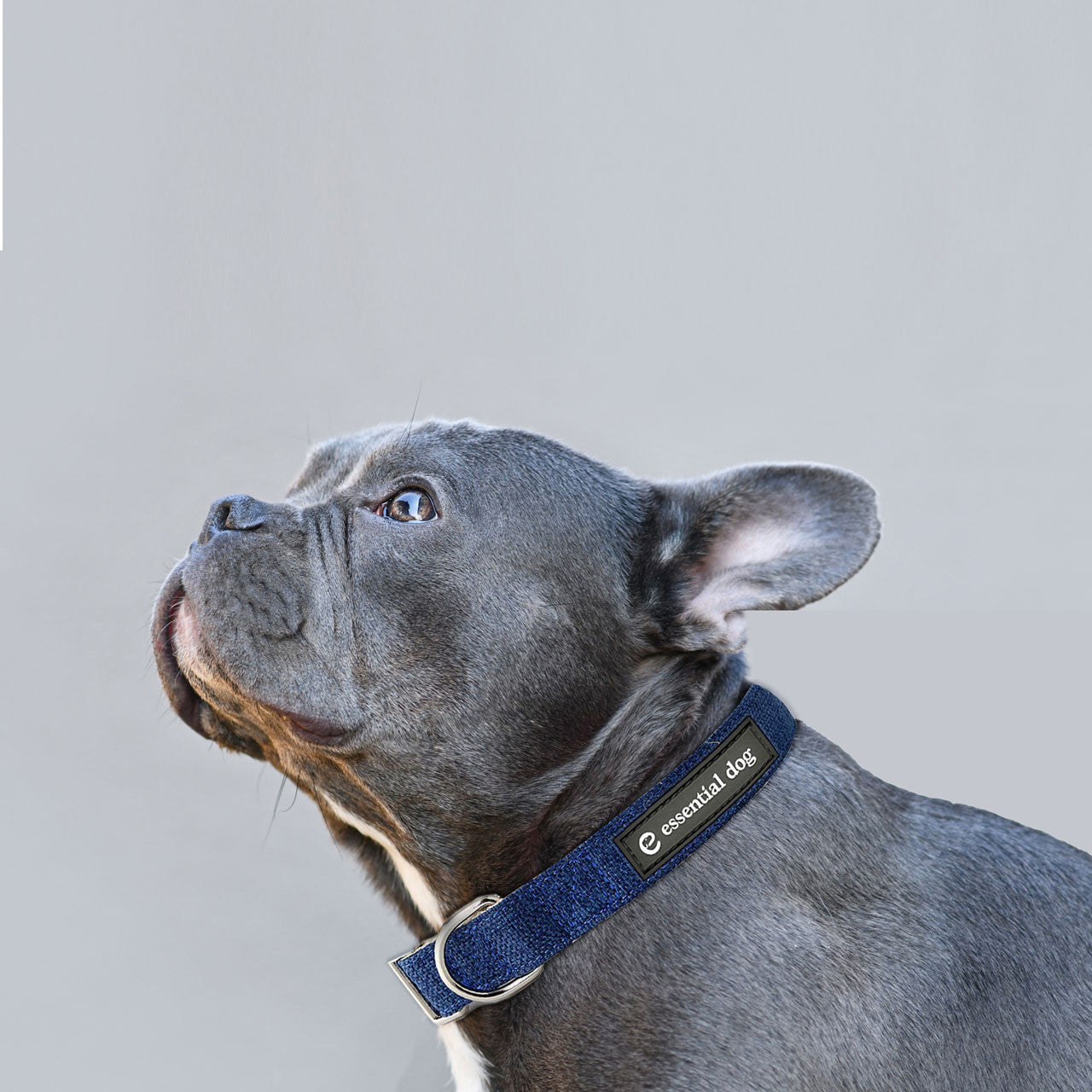 Natural Hemp & Cotton Dog Collar (Ink Blue) V422-HC-B-XS