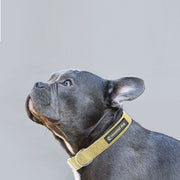 Natural Hemp & Cotton Dog Collar (Grass Green) V422-HC-G-M