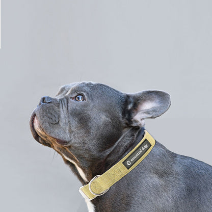 Natural Hemp & Cotton Dog Collar (Grass Green) V422-HC-G-M