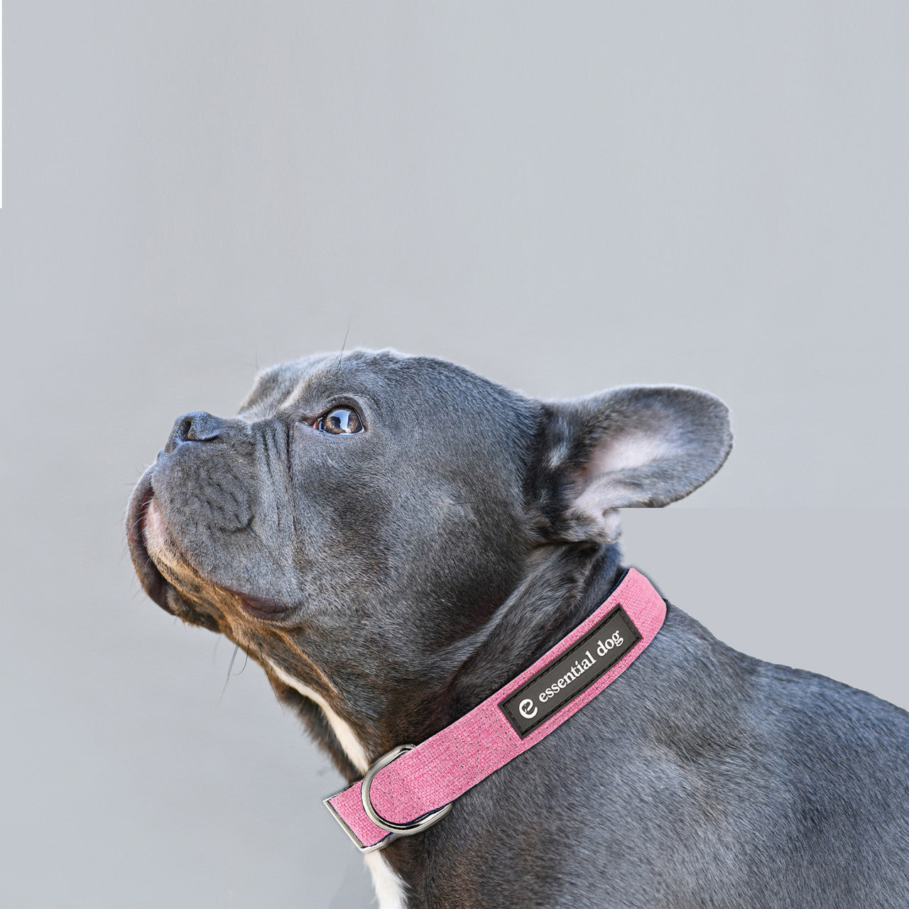 Natural Hemp & Cotton Dog Collar (Pretty Pink) EXTRA SMALL V422-HC-P-XS
