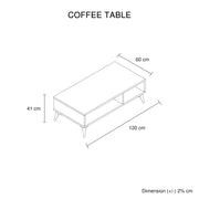 Coffee Table 2 Open Storage Cabinet MDF in Champagne Colour V43-CT-MAXL