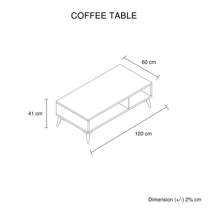 Coffee Table 2 Open Storage Cabinet MDF in Champagne Colour V43-CT-MAXL