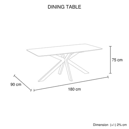 Dining Table Rectangular Shape Grey Sintered Stone Top Powder Coated Iron Legs V43-DT-KNGS