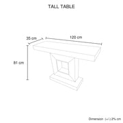 Hall Table Rectangular Shape MDF & Mirror Attractive Base V43-HT-CUBA