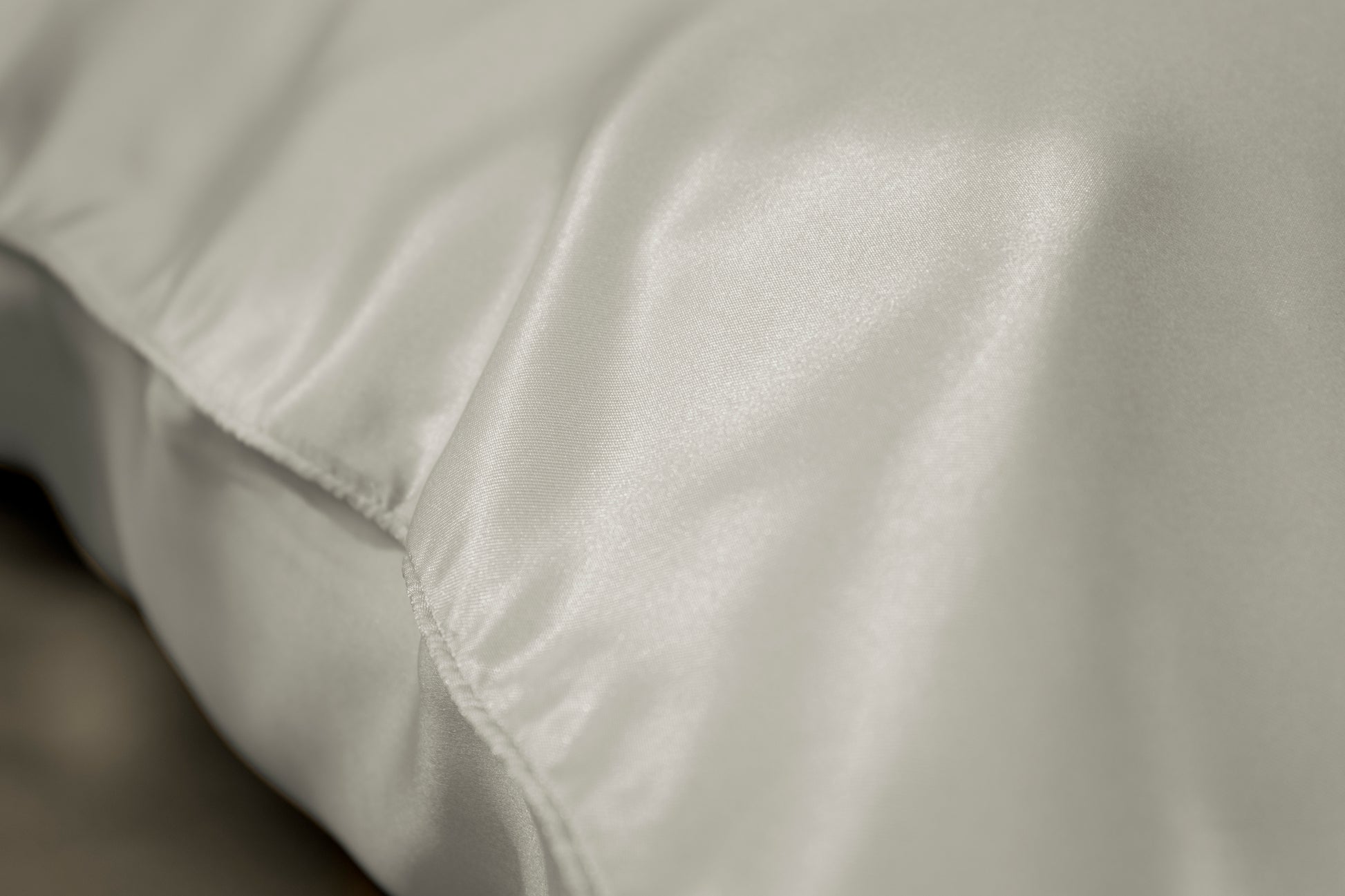 Silver Nights SILK PILLOWCASE - 51X76CM V441-PC4347SIL51X76