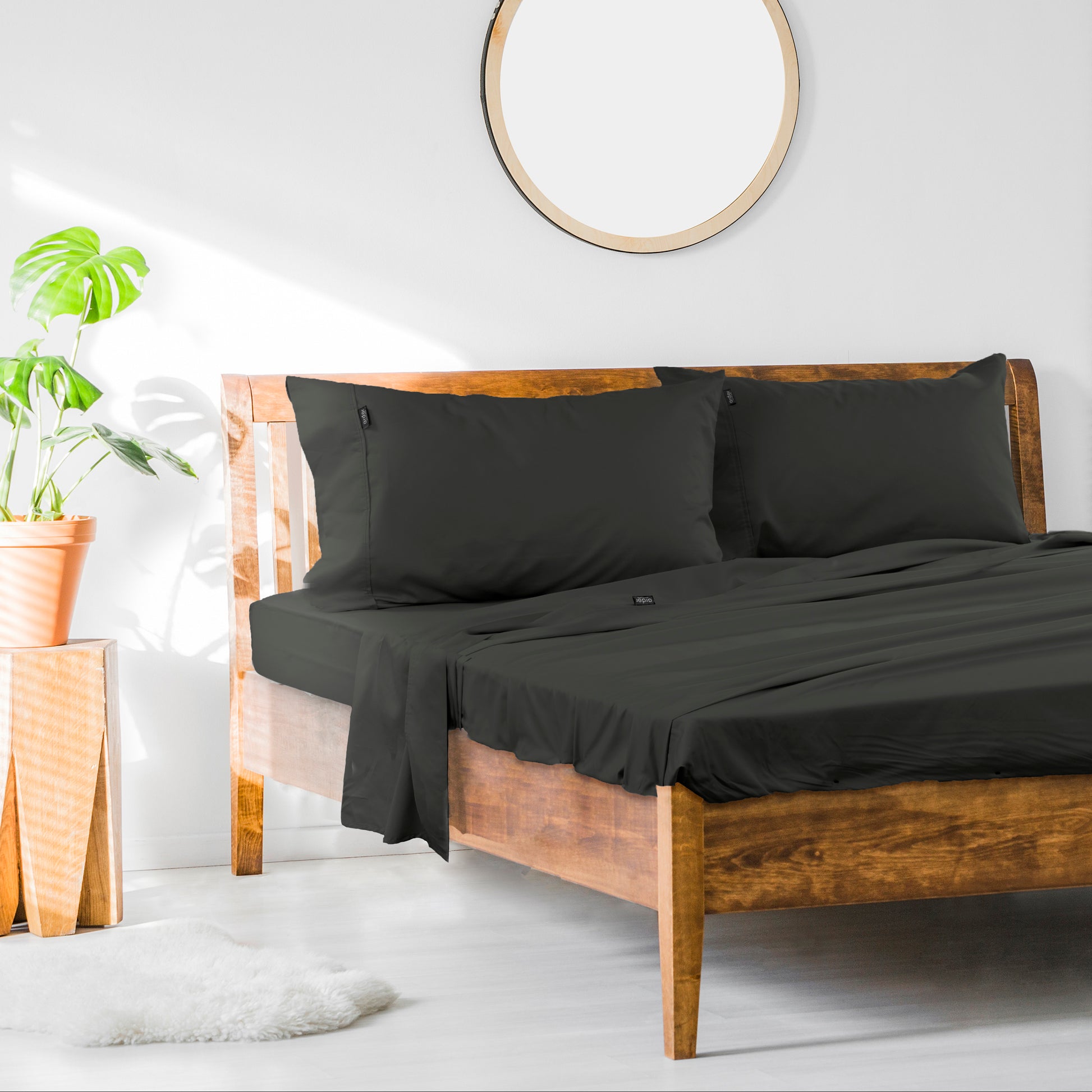 1000TC Cotton Rich SHEET SET - KING V441-SS4056CHLKB