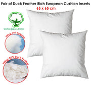Pair of Duck Feather Rich Fill European Cushion Inserter 65 x 65 cm V442-ABR-CUSHION-PAIRFEATHER65CM-WHITE-EU