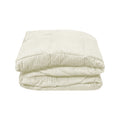 Micro Plush Blanket Cream Single V442-ATX-BLANKET-MICROPLUSH-CREAM-SB
