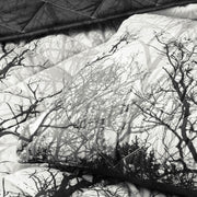 Bianca Boscage Black Forest Printed Quilted Polyester Coverlet Set Super King V442-BCA-COVERLETS-BOSCAGE-BLACK-SK
