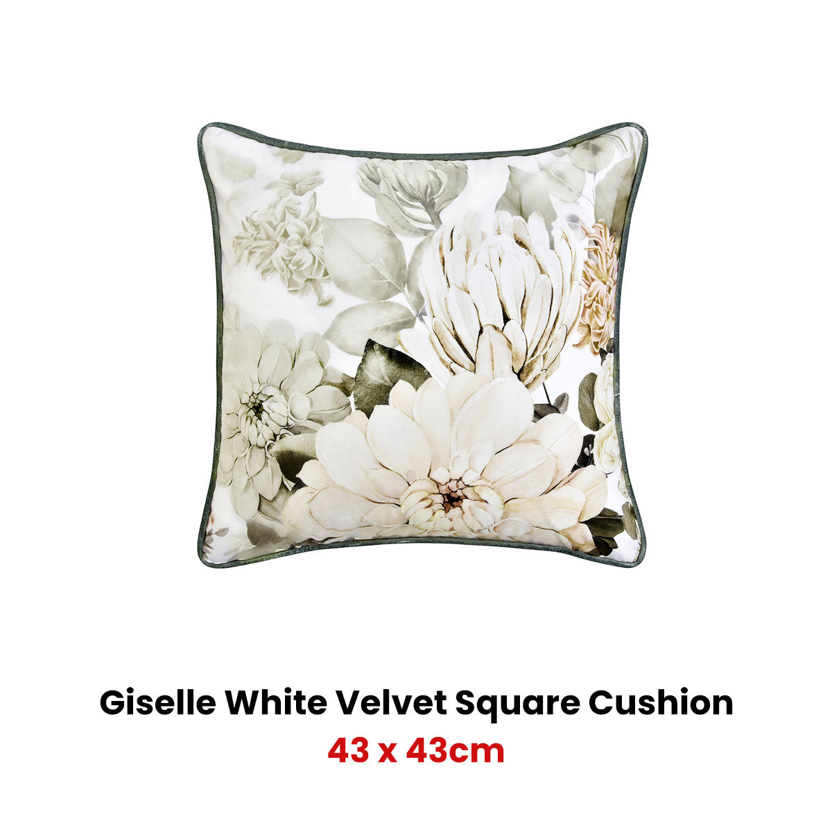 Bianca Giselle Square White Velvet Cushion V442-BCA-CUSHION-GISELLE-WHITE-SQ