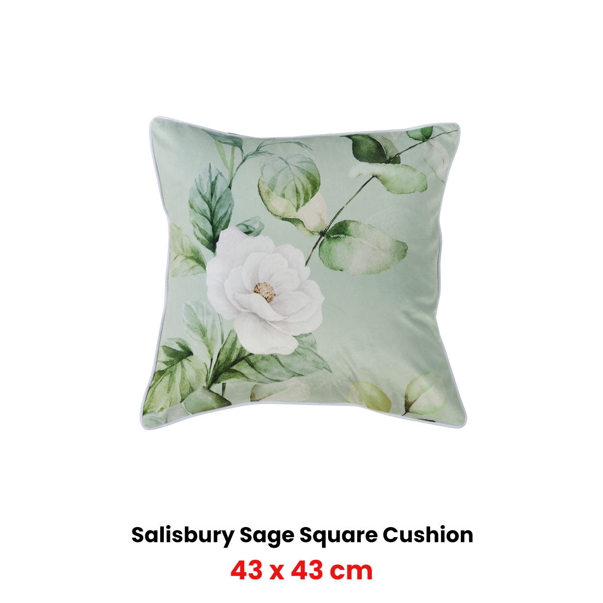 Bianca Salisbury Sage Velvet Square Filled Cushion 43 x 43cm V442-BCA-CUSHION-SALISBURY-SAGE-SQ