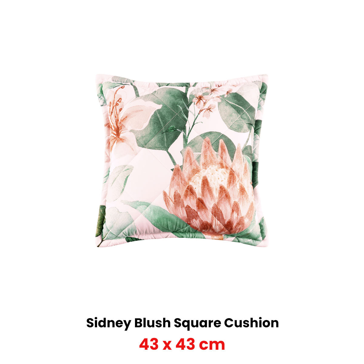 Bianca Sidney Blush Coordinate Square Filled Cushion 43 x 43cm V442-BCA-CUSHION-SIDNEY-BLUSH-SQ