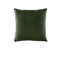 Bianca Vivid Coordinates Square Forest Green Velvet Cushion V442-BCA-CUSHION-VIVIDVELVET-FOREST-SQ