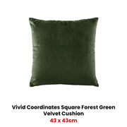 Bianca Vivid Coordinates Square Forest Green Velvet Cushion V442-BCA-CUSHION-VIVIDVELVET-FOREST-SQ