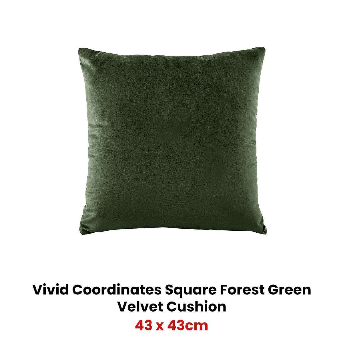 Bianca Vivid Coordinates Square Forest Green Velvet Cushion V442-BCA-CUSHION-VIVIDVELVET-FOREST-SQ