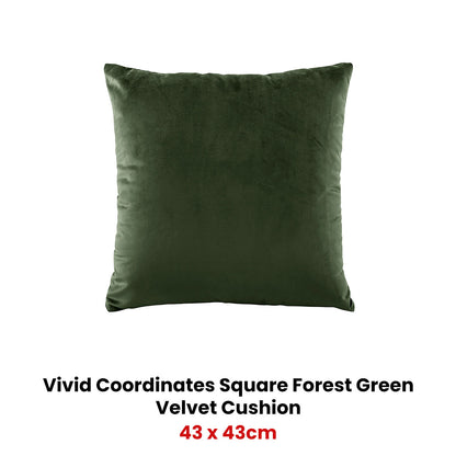 Bianca Vivid Coordinates Square Forest Green Velvet Cushion V442-BCA-CUSHION-VIVIDVELVET-FOREST-SQ