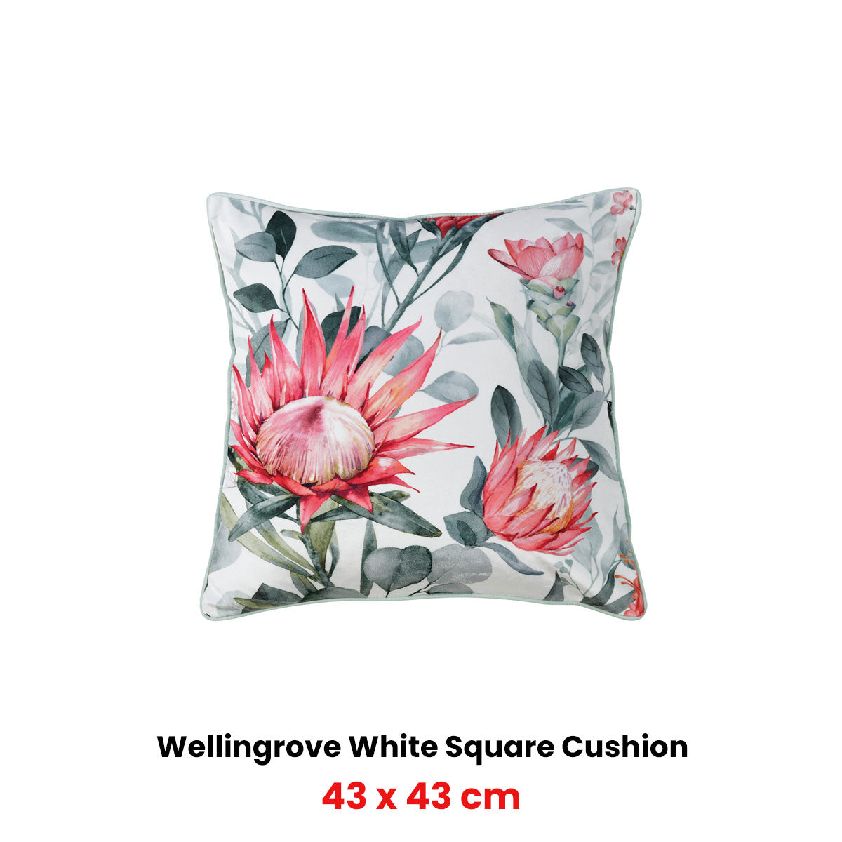 Bianca Wellingrove White Velvet Square Filled Cushion 43 x 43cm V442-BCA-CUSHION-WELLINGROVE-WHITE-SQ