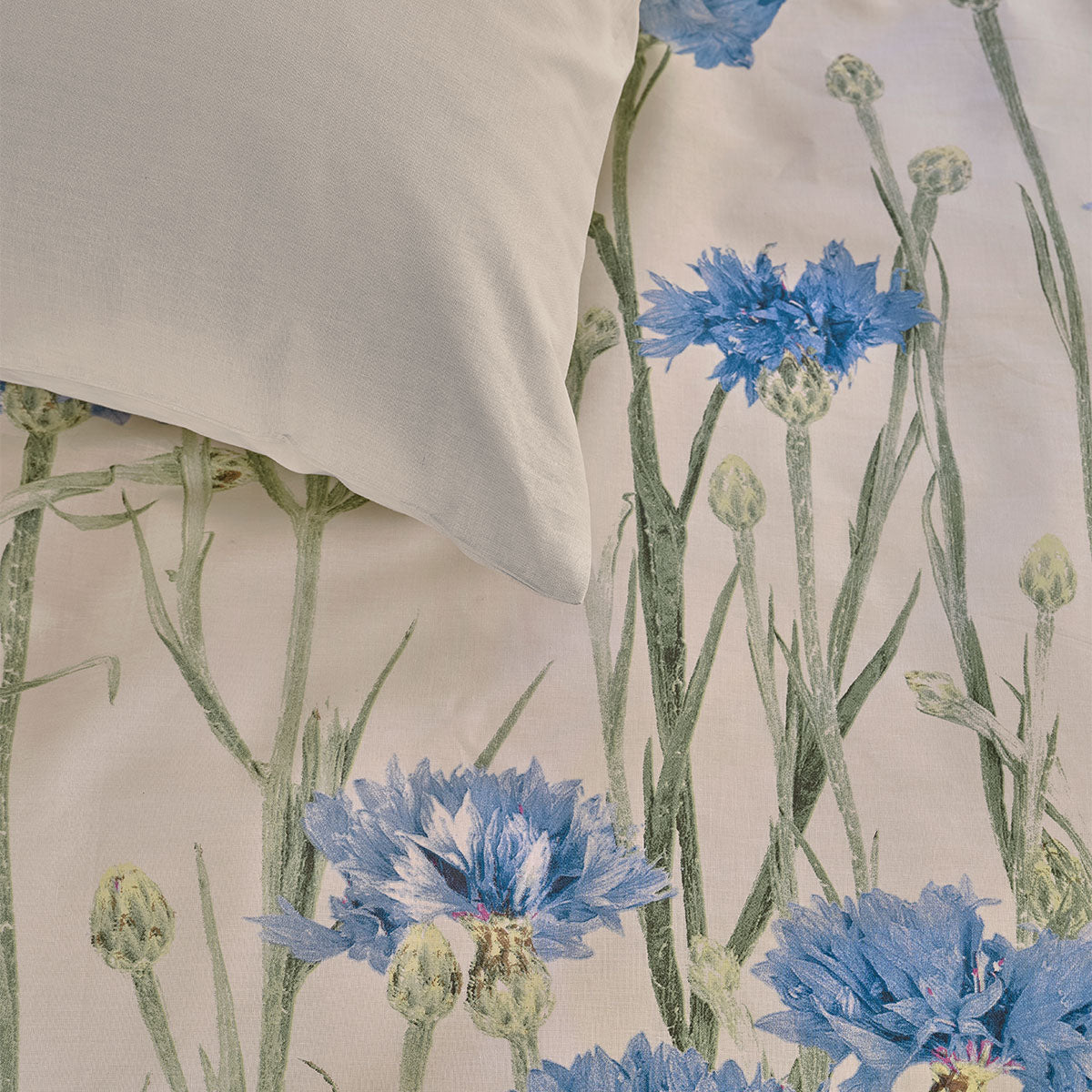 Bedding House Cornflower Sand 100% Cotton Percale Quilt Cover Set Queen V442-HIN-QUILTCS-CORNFLOWER-SAND-QS
