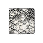 J Elliot Home Aida Black Printed Cotton Cushion Cover 43 x 43cm V442-IDC-CUSHIONC-AIDA-BLACK-SQ