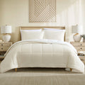 Ardor Avalon Cream 3 Pcs Velvet Comforter Set with Sherpa Reverse Queen/King V442-INT-COMFORTER-3PCSAVALON-CREAM-QS