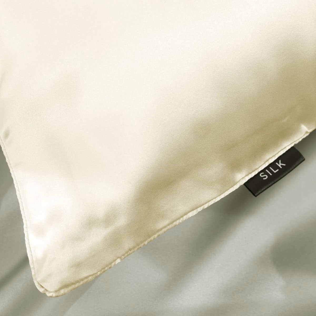 Ardor Mulberry Silk Standard Pillowcase Ivory Dreams V442-INT-PILLOWC-MULBERRYSILK-IVORY-ST