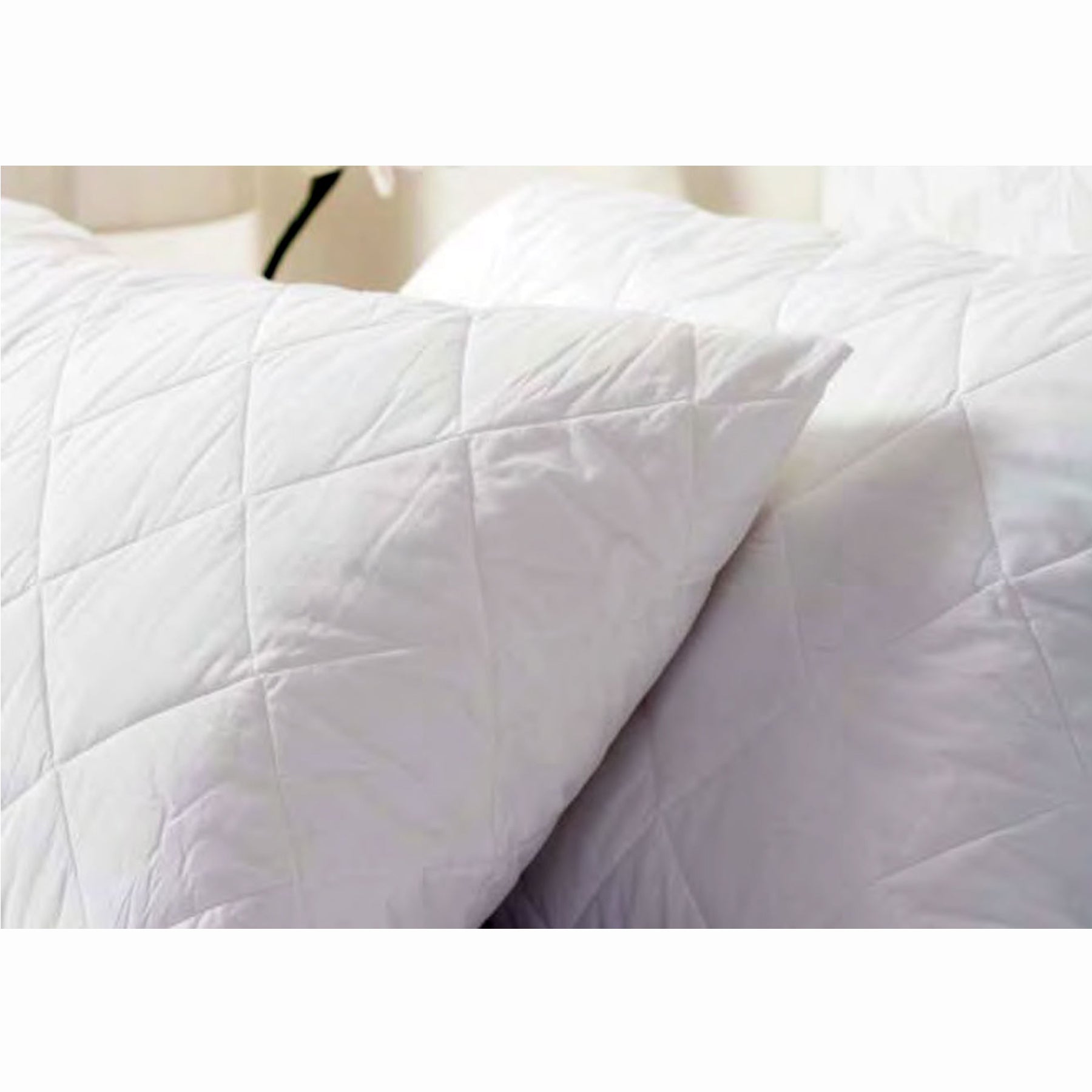 Essentially Home Living Twin Pack Quilted Standard Pillow Protectors V442-INT-PILLOWP-POLYESTERQUILTED-WHITE-ST