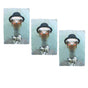 Set of 3 Zoo Portraits Microfiber Tea Towels Ostrich 67 x 45 cm V442-JTC-TEAT-SETOF3OSTRICH-GREY-RE