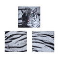 Just Home Set of 3 Printed Blue Eyes Stripes Tiger Wall Canvas V442-LDE-MISC-BLUEEYESSTRIPES-BLACK-SQ