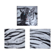 Just Home Set of 3 Printed Blue Eyes Stripes Tiger Wall Canvas V442-LDE-MISC-BLUEEYESSTRIPES-BLACK-SQ