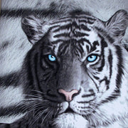Just Home Set of 3 Printed Blue Eyes Stripes Tiger Wall Canvas V442-LDE-MISC-BLUEEYESSTRIPES-BLACK-SQ