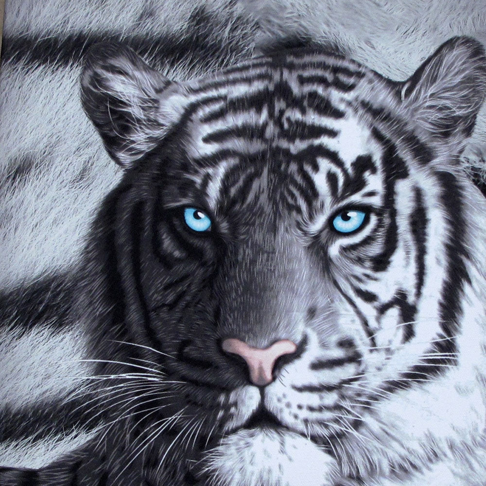 Just Home Set of 3 Printed Blue Eyes Stripes Tiger Wall Canvas V442-LDE-MISC-BLUEEYESSTRIPES-BLACK-SQ